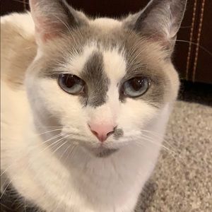 Meet your Posher, Melissa